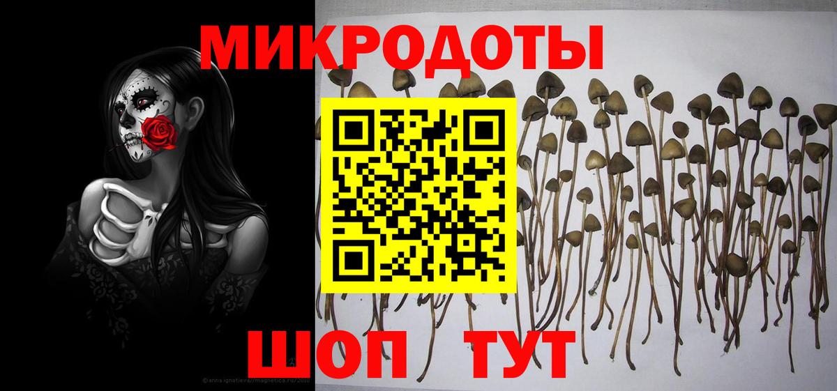 дарнет шоп  Псилоцибиновые грибы GOLDEN TEACHER  Вход с VPN  Каменск-Шахтинский  Галлюциногенные грибы мухоморы 