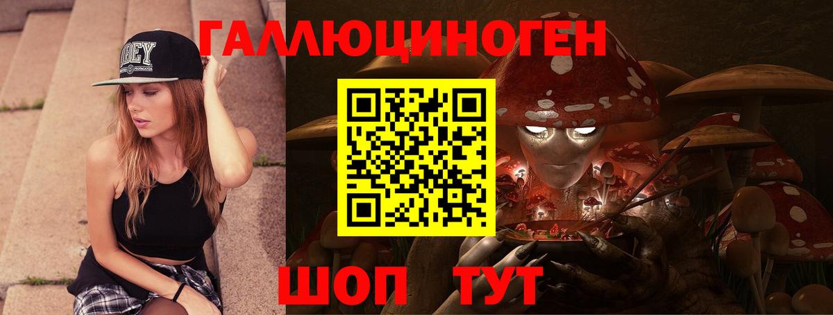 Псилоцибиновые грибы Psilocybe Каменск-Шахтинский